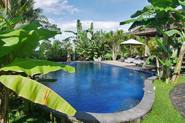 hôtel Bali CMDI