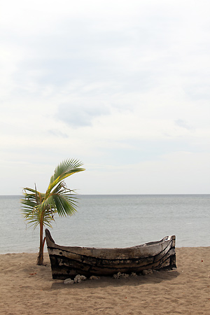 hôtel Flores cmfl