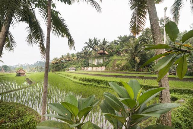 hôtel Bali cmivc