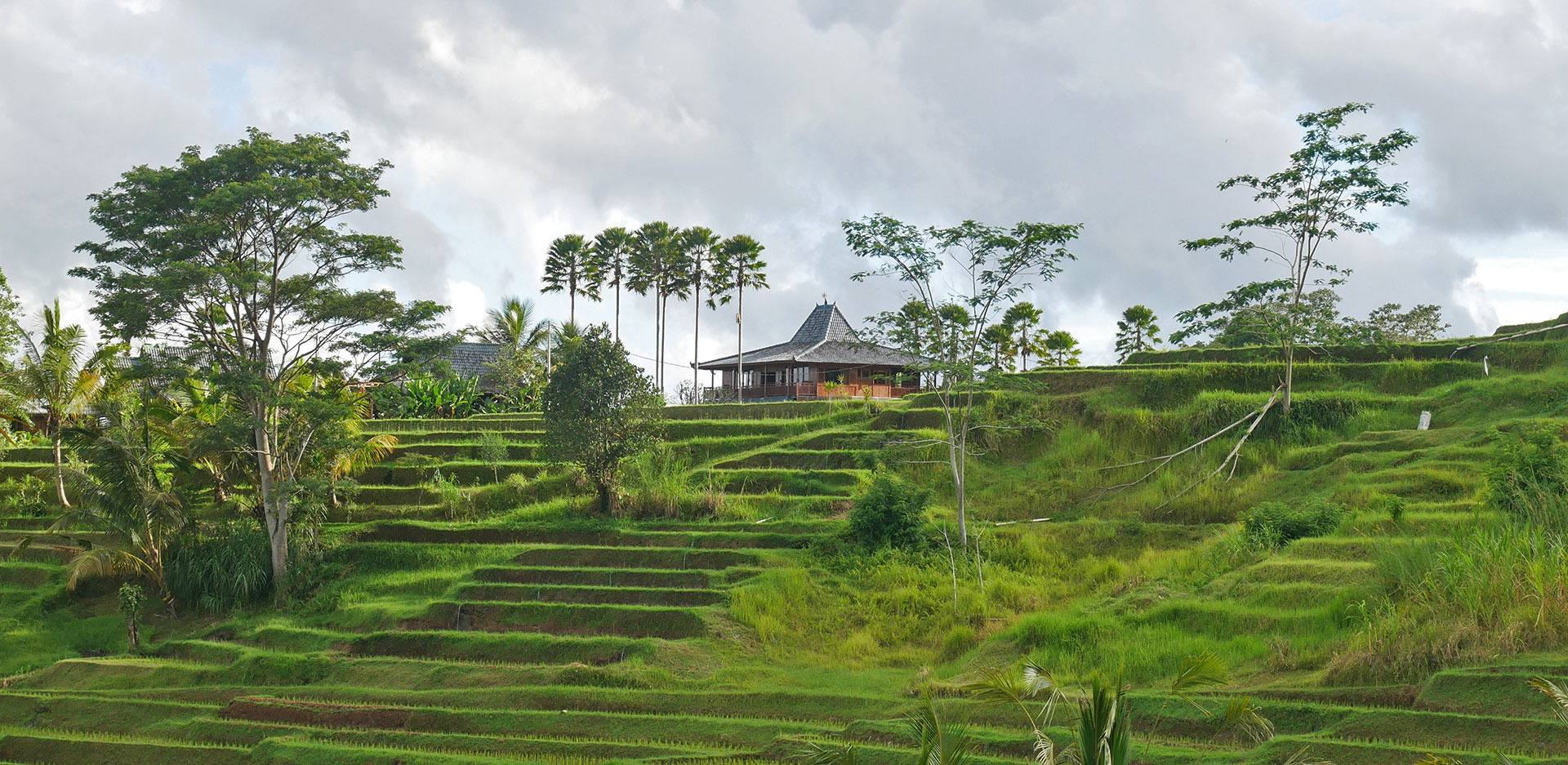 hôtel Bali cmjat