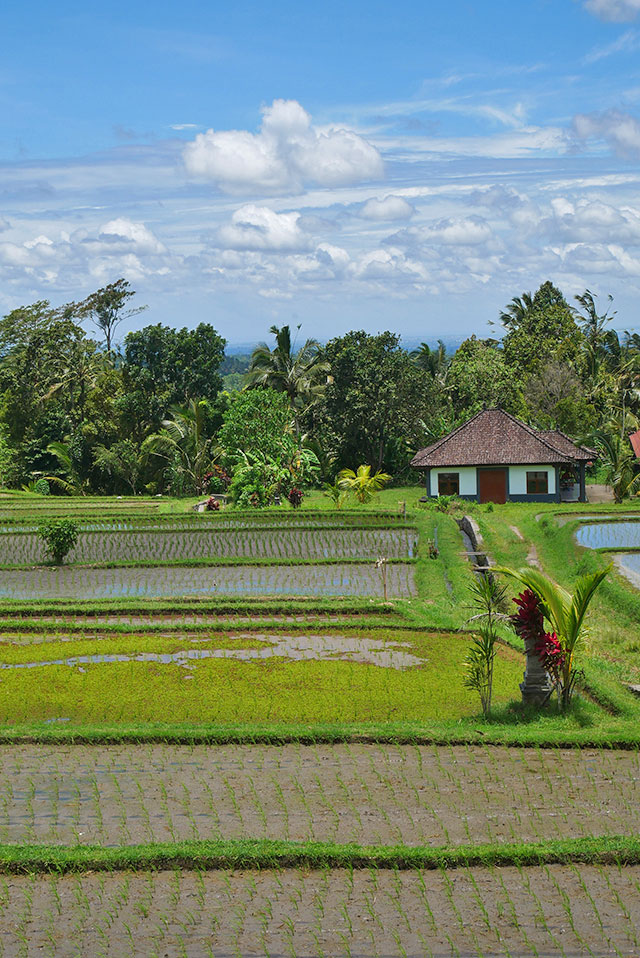 hôtel Bali cmjat