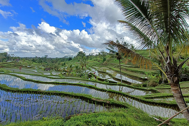 hôtel Bali cmjat