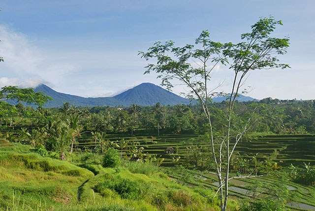 hôtel Bali cmjat