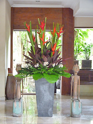 hôtel Bali CMJI