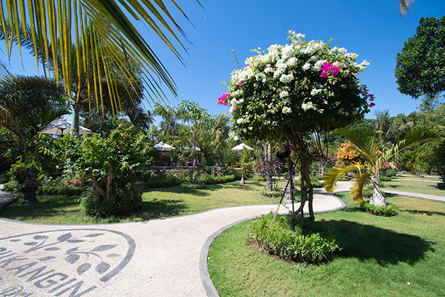 hôtel Bali CMKAM
