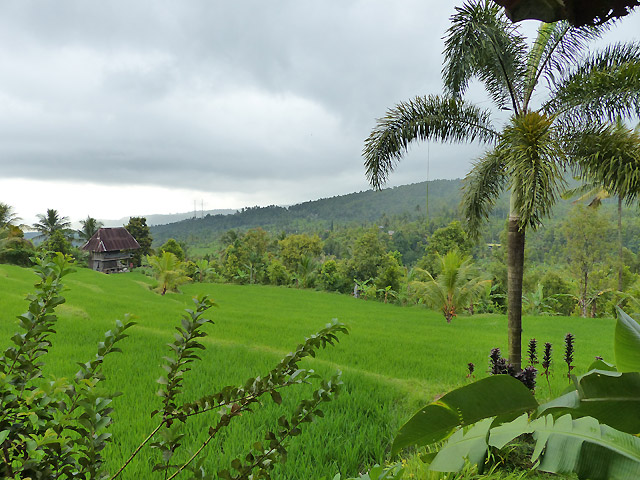 hôtel Bali CMLM