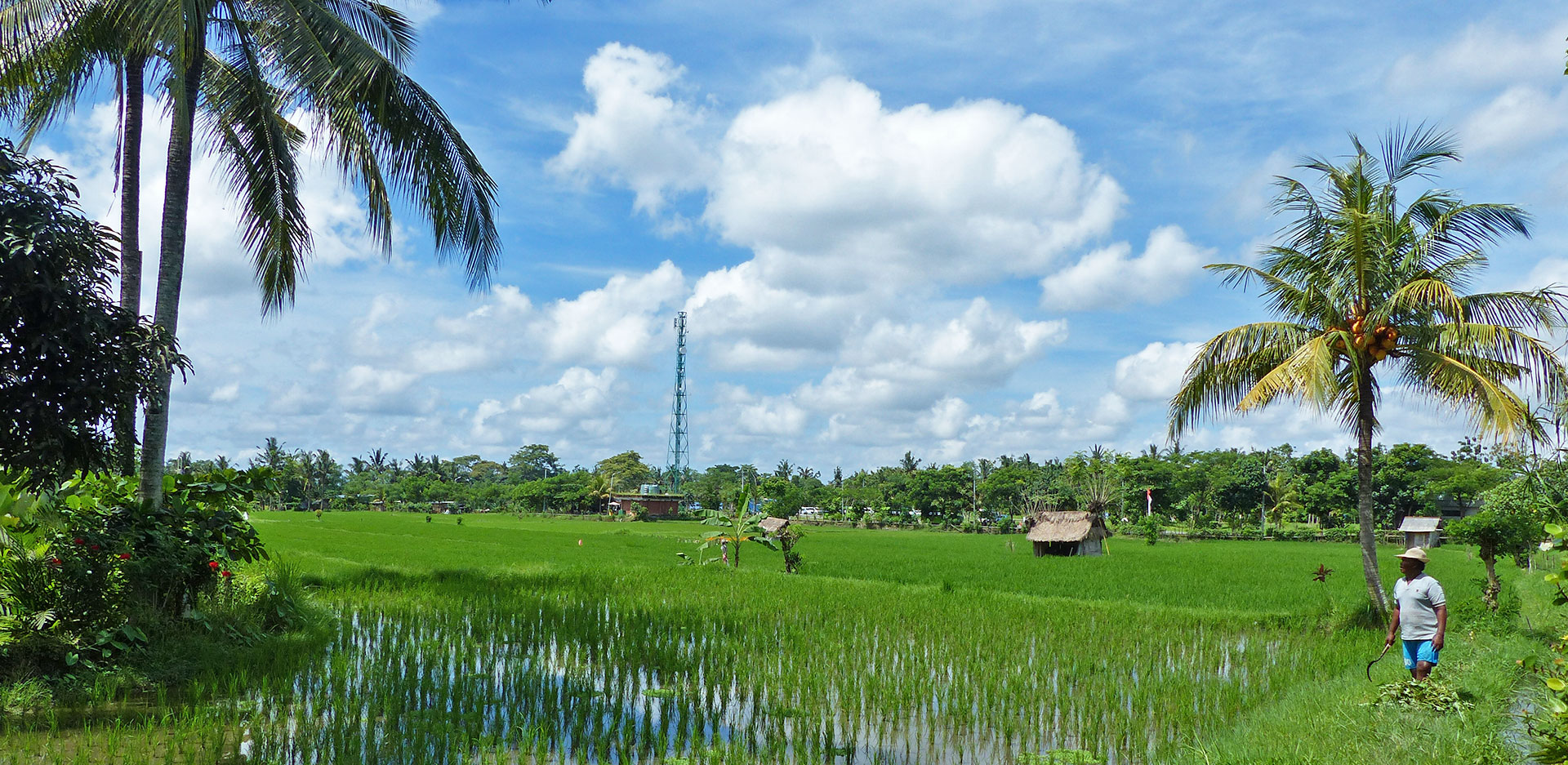 hôtel Bali CMMUB