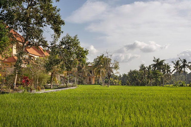 hôtel Bali CMMUB