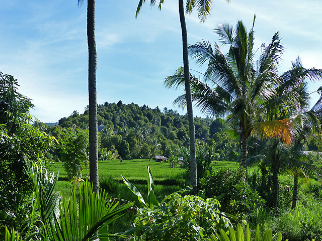 hôtel Bali cmmun