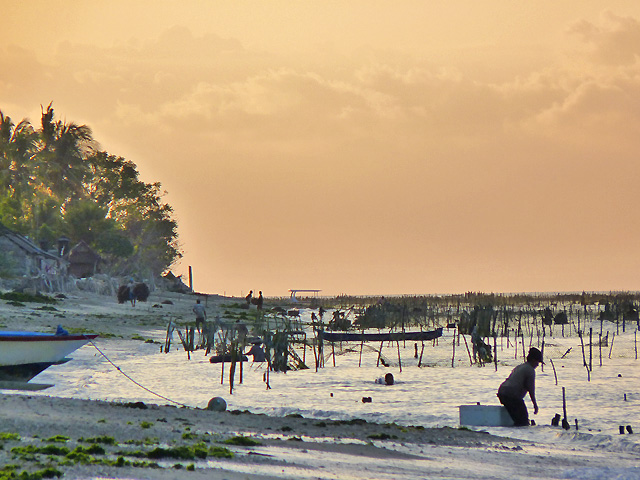 hôtel Nusa Penida cmnus