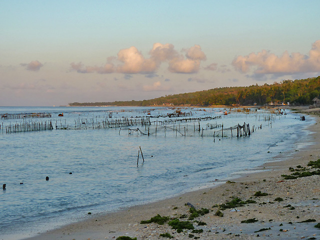 hôtel Nusa Penida cmnus