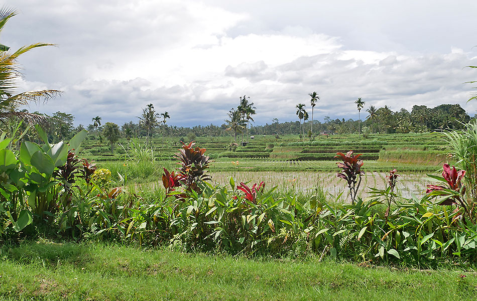 hôtel Bali CMPAP