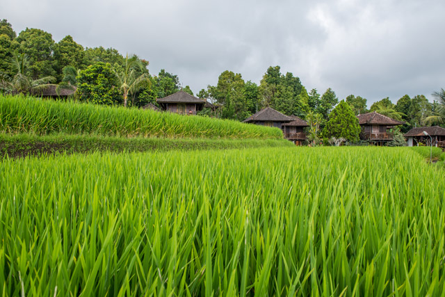 hôtel Bali cmpl