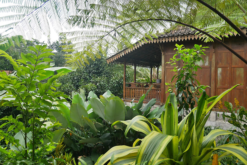 hôtel Bali CMPU