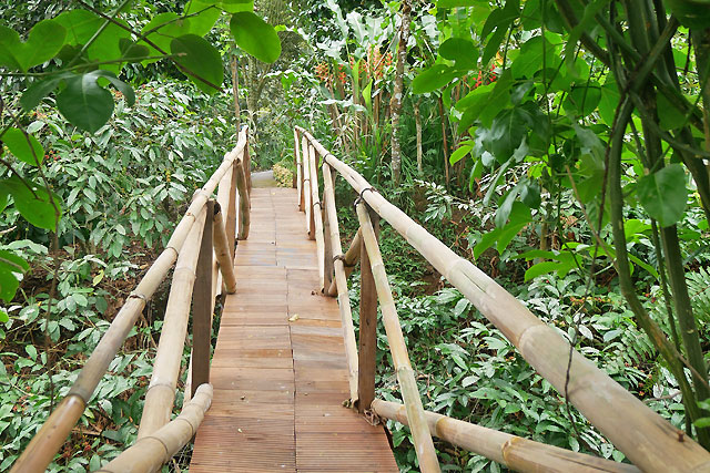 hôtel Bali CMPU