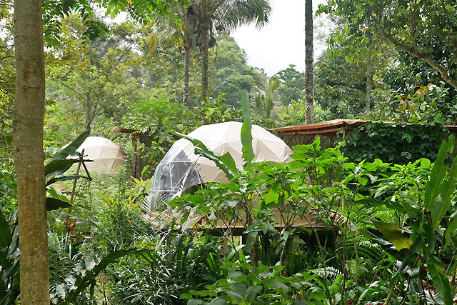 hôtel Bali CMPU