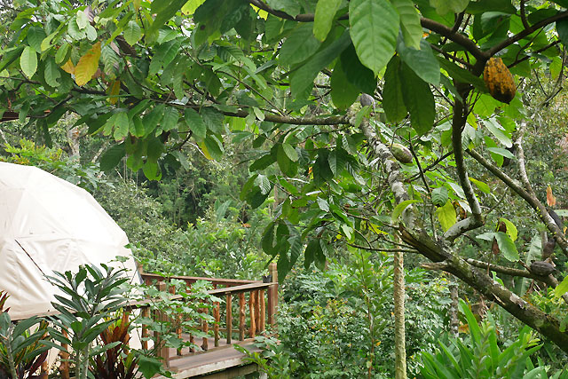 hôtel Bali CMPU