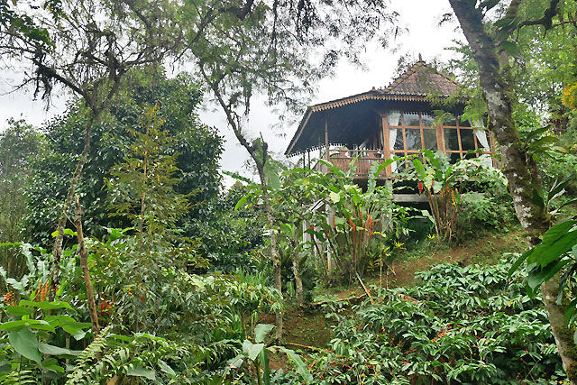 hôtel Bali CMPU