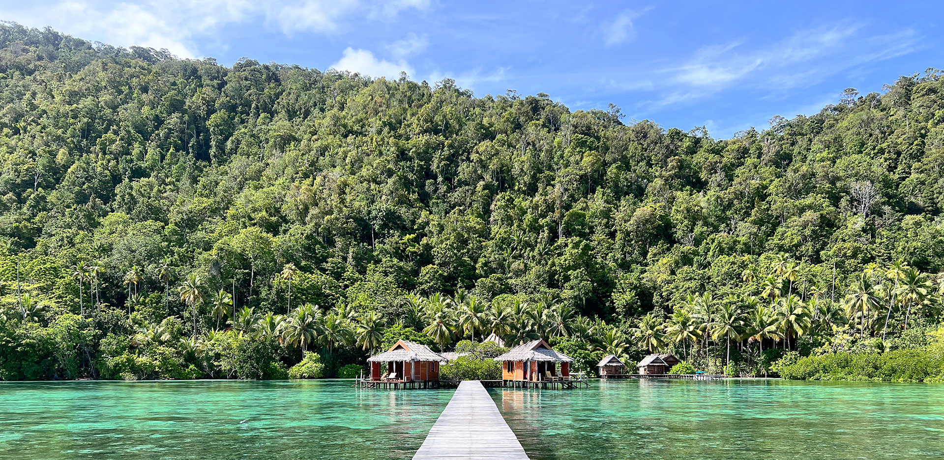 hôtel Raja Ampat CMRJ