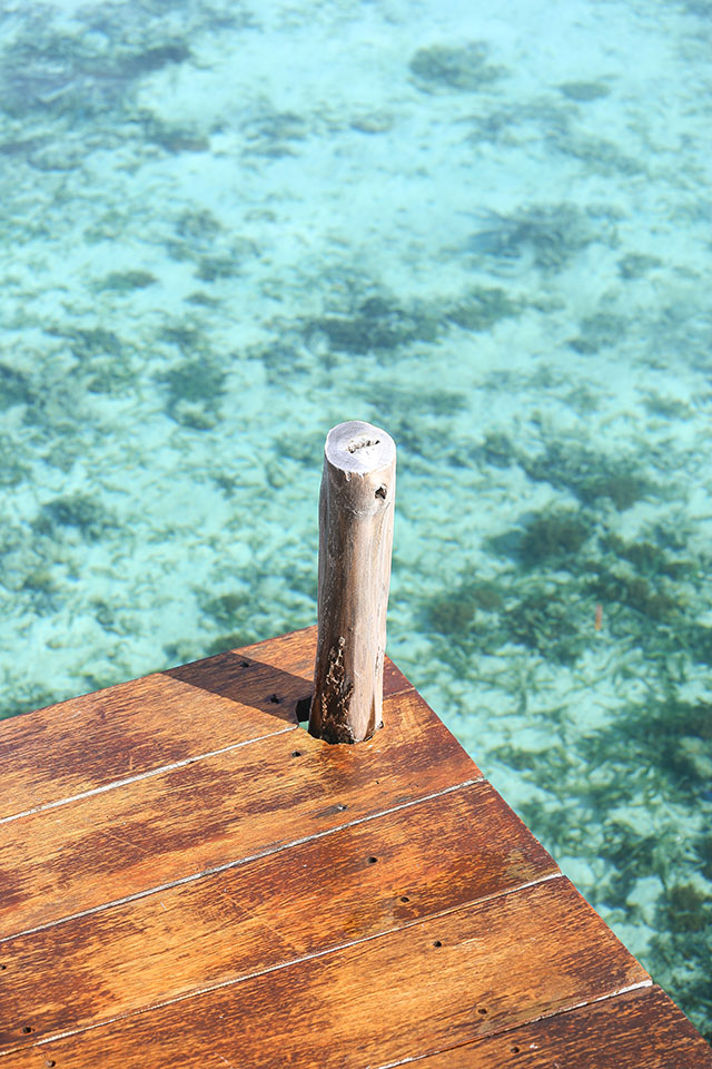 hôtel Raja Ampat CMRJ