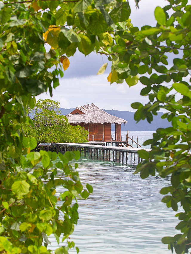 hôtel Raja Ampat CMRJ