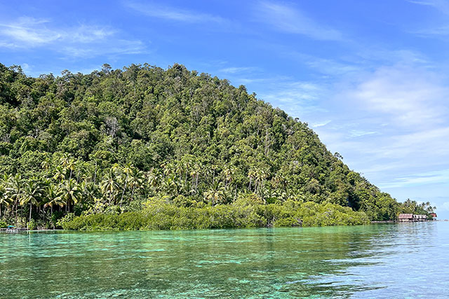 hôtel Raja Ampat CMRJ