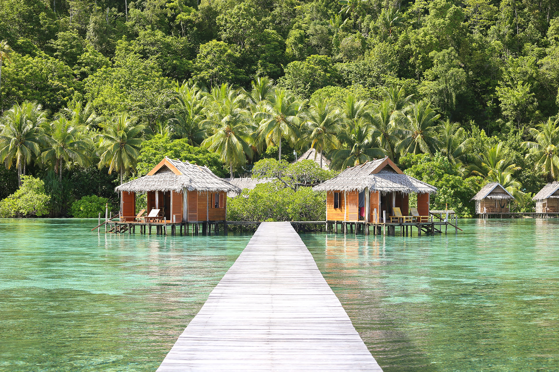 hôtel Raja Ampat CMRJ