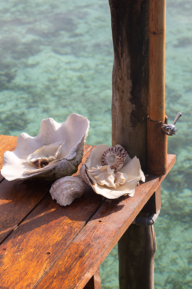 hôtel Raja Ampat CMRJ