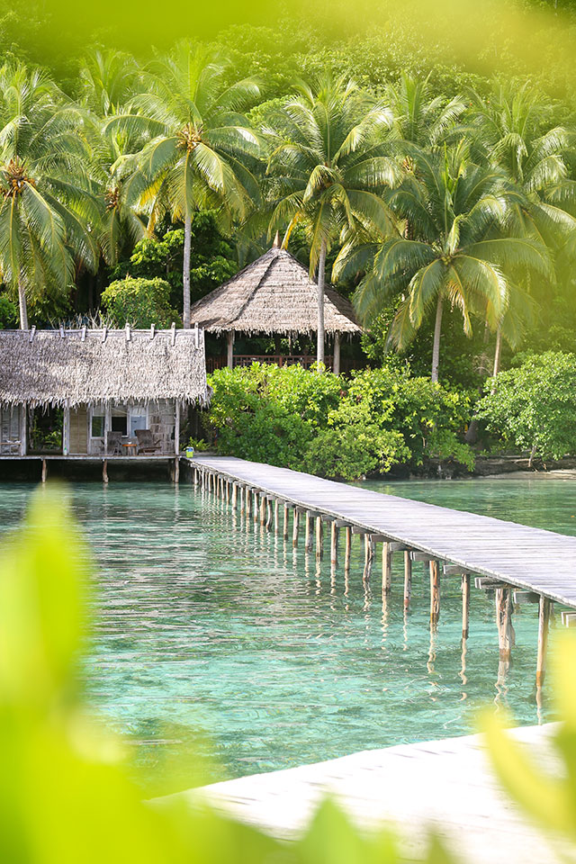 hôtel Raja Ampat CMRJ
