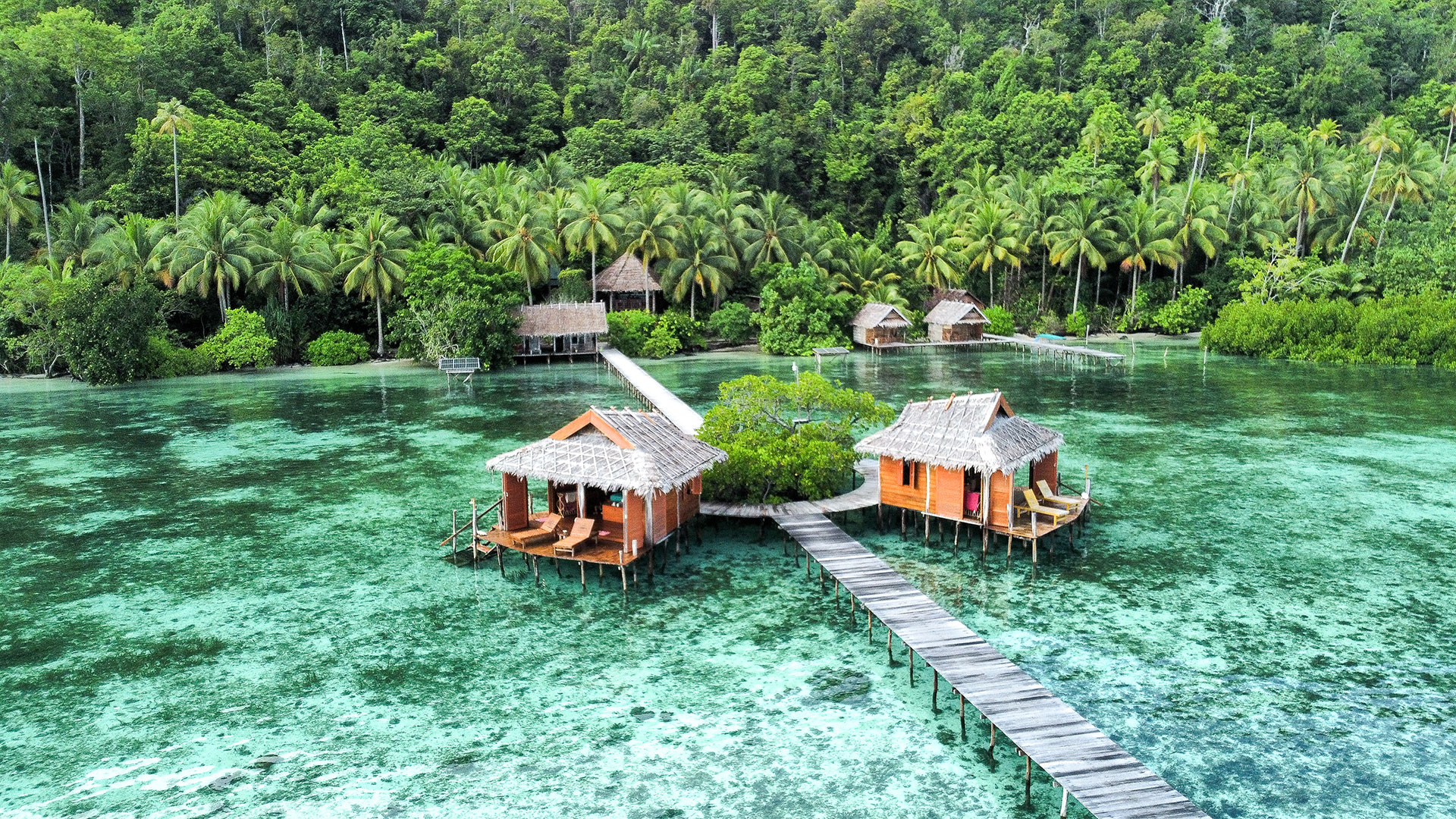 hôtel Raja Ampat CMRJ