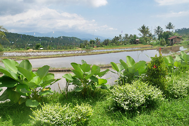hôtel Bali CMRV