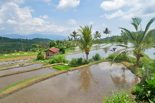 hôtel Bali CMRV