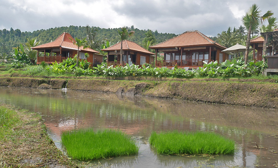 hôtel Bali CMRV