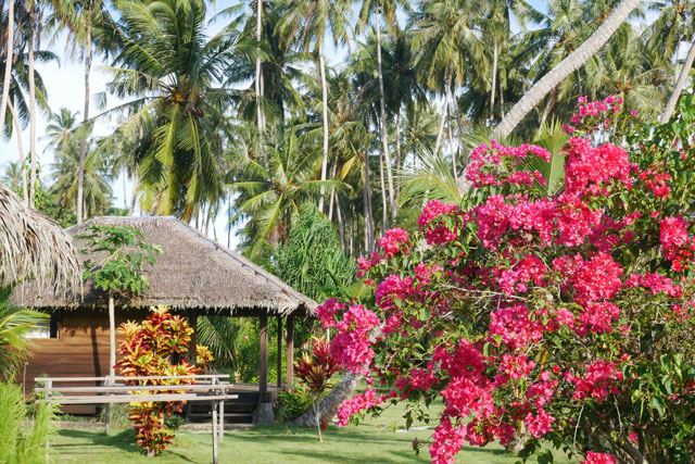 hôtel Simeulue cmsi