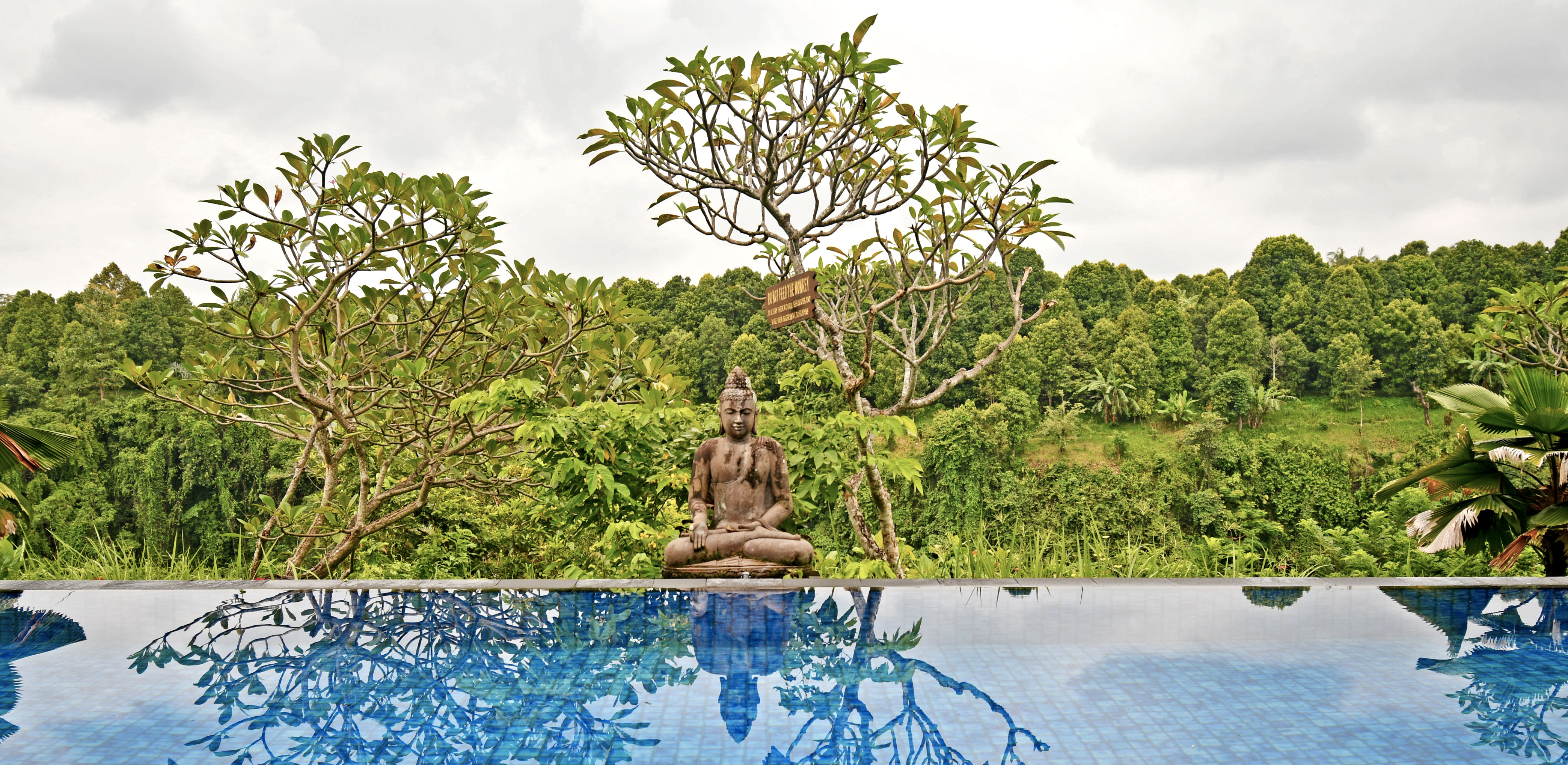 hôtel Bali CMSIN