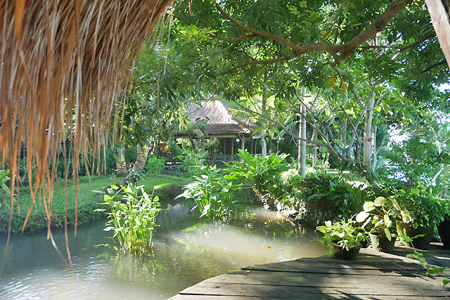 hôtel Bali CMUA