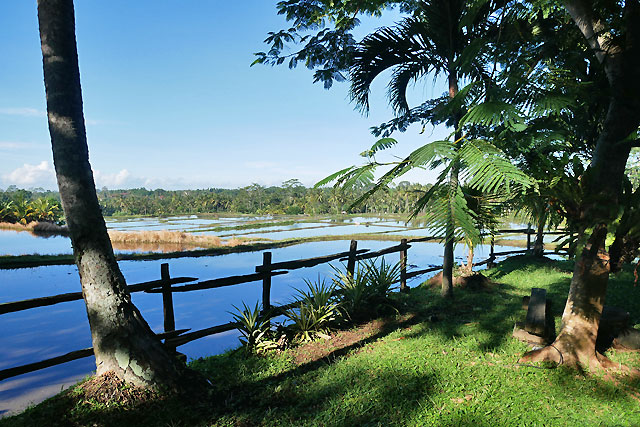hôtel Bali CMUA