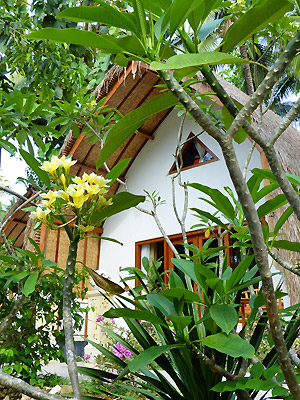 hôtel Nusa Penida CMUS