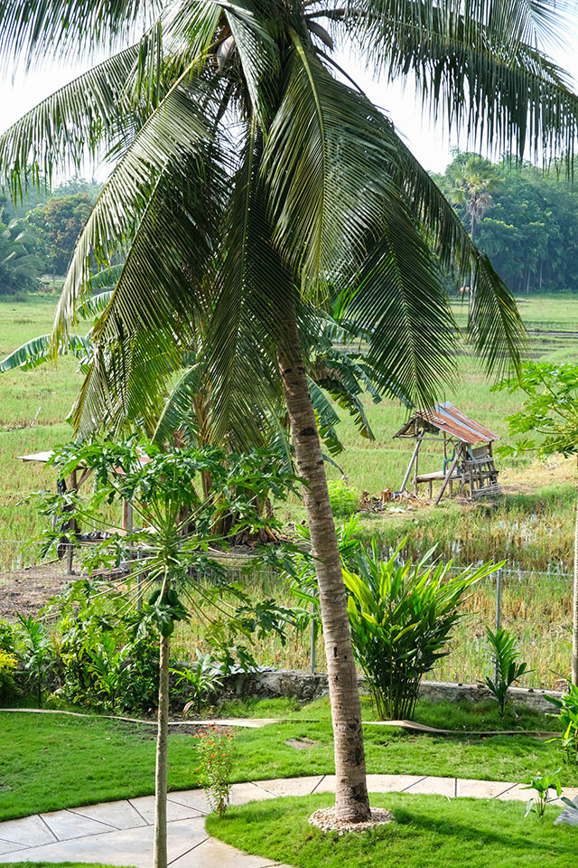 hôtel Sumba CMWC