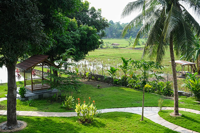 hôtel Sumba CMWC