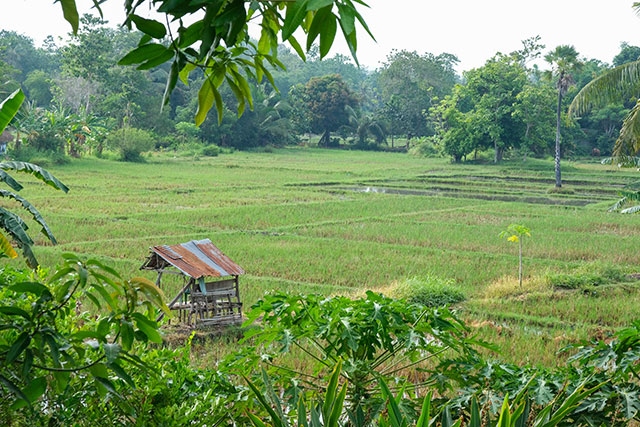 hôtel Sumba CMWC