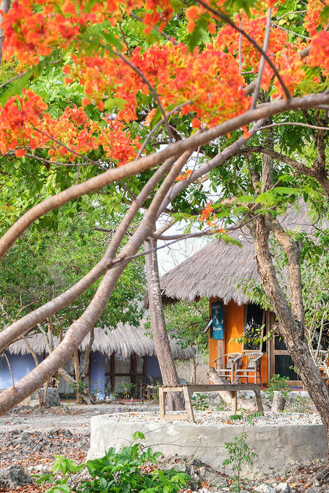 hôtel Sumba CMWE