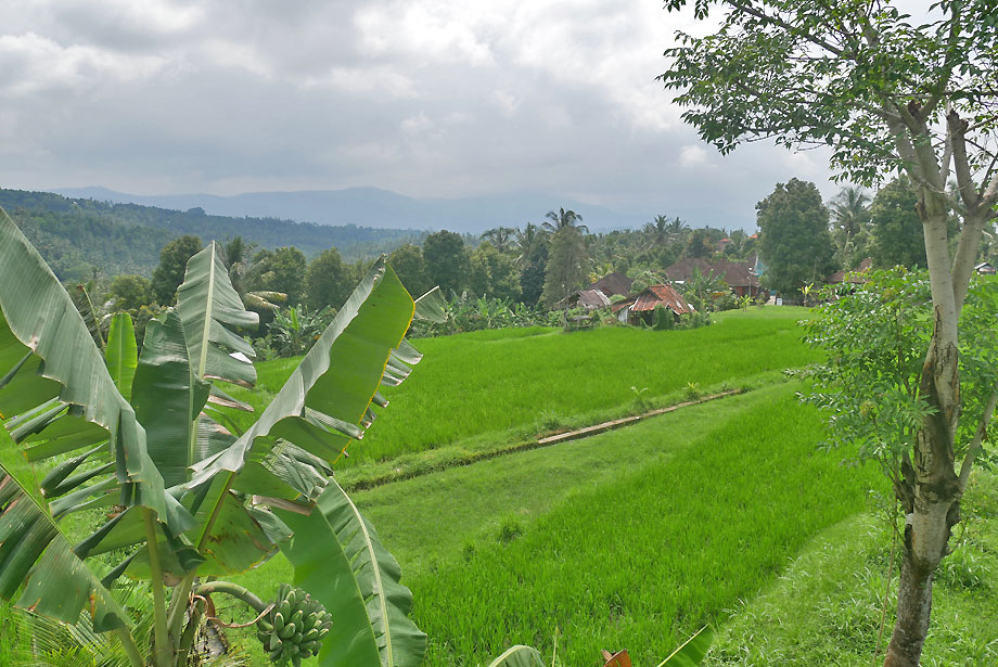 hôtel Bali HSYM