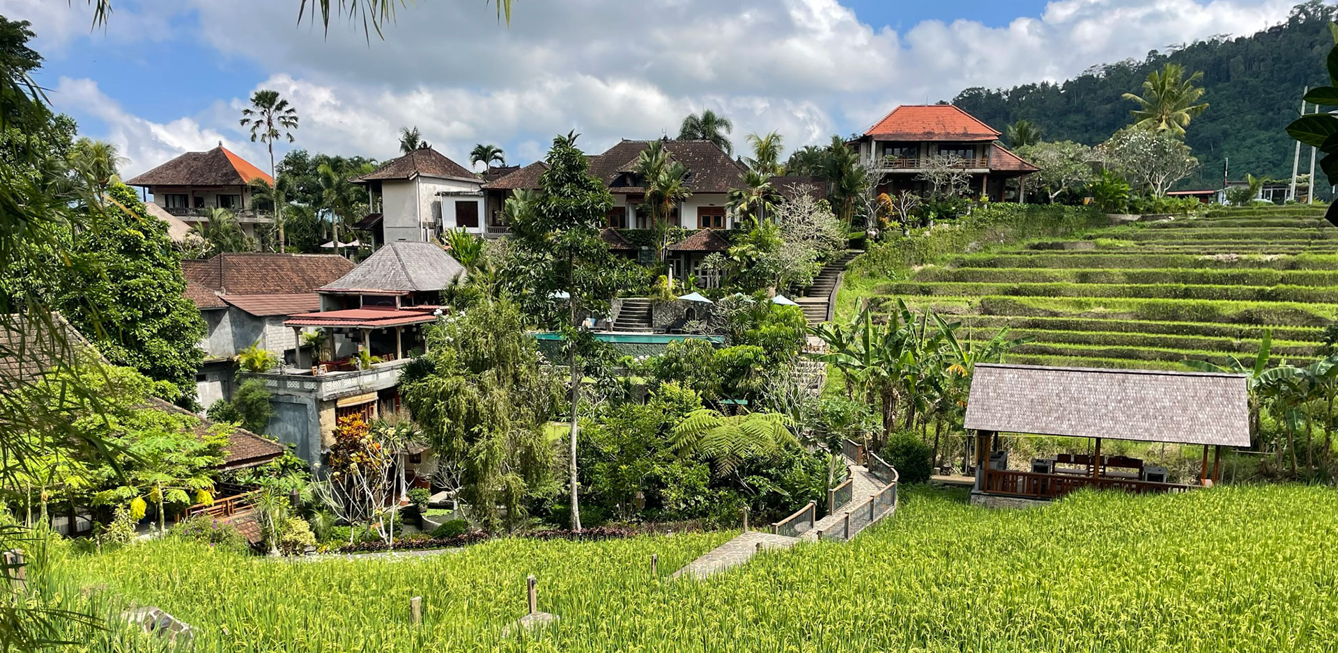 hôtel Bali CMYS