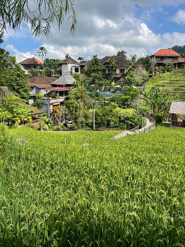 hôtel Bali CMYS