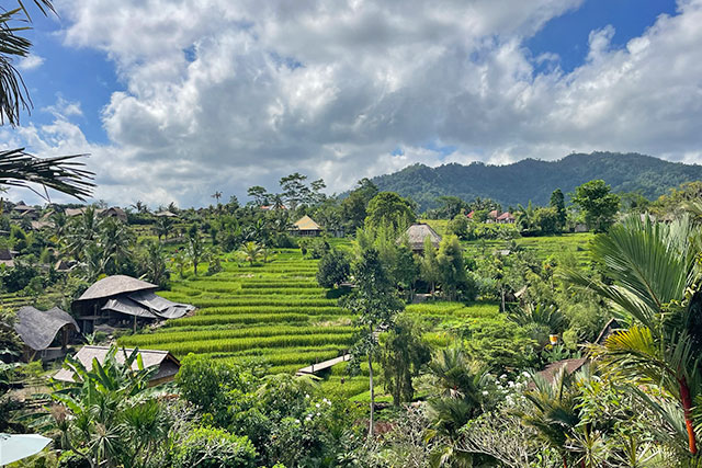 hôtel Bali CMYS