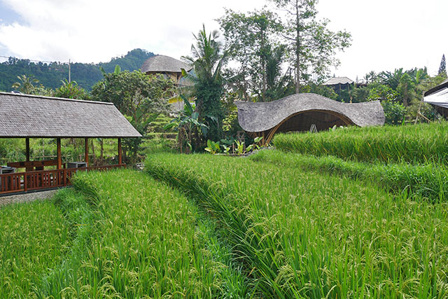 hôtel Bali CMYS