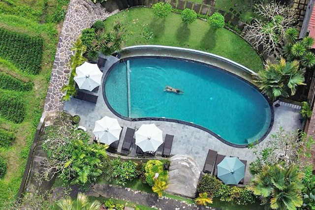 hôtel Bali CMYS
