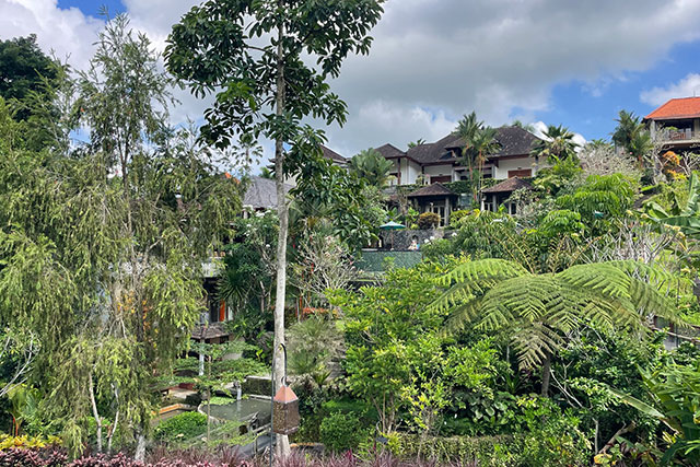 hôtel Bali CMYS