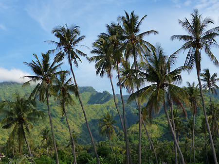 hôtel Bali CSAME